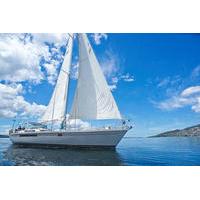 full day sailing cruise from hobart