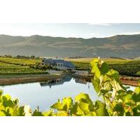 Full-Day Hemel-en-Aarde Wine Region Private Tour from Cape Town