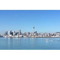 Full-Day Best of Auckland City Tour