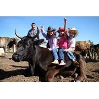 full day ranch adventure and horseback riding tour