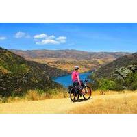full day roxburgh gorge cycle tour from queenstown