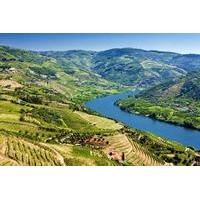 full day wine tasting tour in the douro valley with lunch