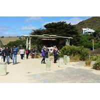 full day great ocean road tour from melbourne