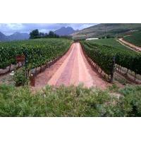 full day cape town based wine safari with wine pairing and franschhoek ...