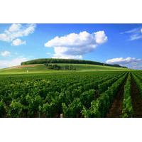 Full-Day Private Guided Tour of Champagne wih Hotel Pickup