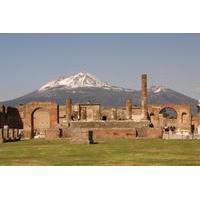 Full Day Small Group Pompeii Tour from Sorrento with Local Wine Tasting