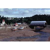 Fundy Coast to Fundy Shore Tour