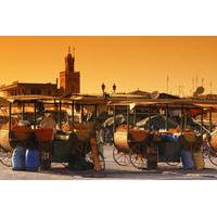 Full-Day Private Tour to Marrakech from Casablanca