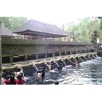 full day bali island tour including mt batur the sacred monkey forest  ...
