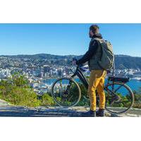 full day self guided electric bike tour of wellington