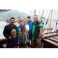 full day small group halong bay islands and caves tour with seafood lu ...