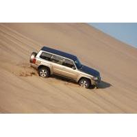 Full Day Desert Safari from Doha