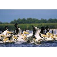 full day private tour to the fascinating danube delta from bucharest