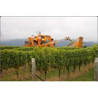 Full-Day Wine Gourmet and Scenic Delight Tour from Picton