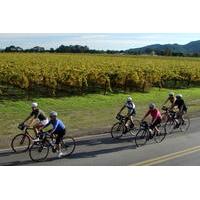 full day sonoma valley bike and wine tour
