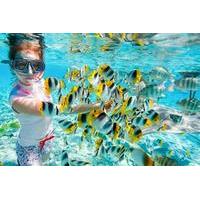 full day snorkeling trip at giftun island from hurghada