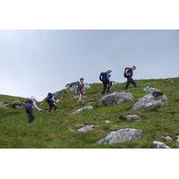 Full-Day Private Guided Hike in the Scottish Highlands from Aviemore