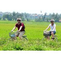 Full-Day Hue Rice Agriculture Experience