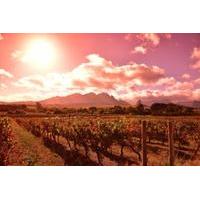 Full-Day Private Winelands Tour from Cape Town