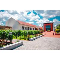 Full-Day Shabo Wine Culture Center Private Tour in Odessa