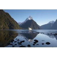 full day milford sound discovery day trip from queenstown