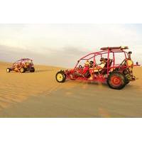 Full-Day Ballestas Islands and Huacachina Tour from Lima with Sand Buggy Ride