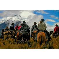 Full Day Horseback Riding in Mendoza