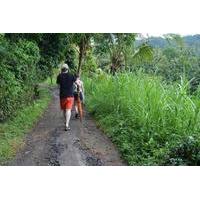 full day ubud trekking tour including massage experience