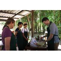 full day hands on thai cooking class in a garden in chiang mai