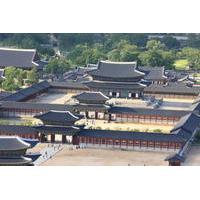 Full-Day Tour of Royal Palaces and N Seoul Tower