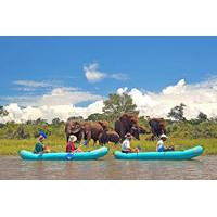 full day upper zambezi canoe safari from victoria falls