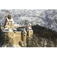 Full-Day Private Tour from Bucharest to Transylvania: Sinaia Castle, Dracula\'s Castle, Rasnov Fortress, Dino Park and Valea Cetatii Cave