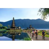 Full-Day Bali Sightseeing Tour with Bike Ride