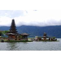 Full-Day Tour into the Heart of Bali