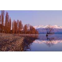 full day historical arrowtown and wanaka tour from queenstown