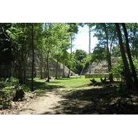 Full-Day Exploration of the Caracol Maya Temple