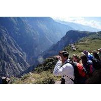Full Day Arequipa Colca Cañon Tour