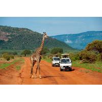 Full-Day Nairobi National Park, Elephant Orphange, Giraffe Centre and Karen Blixen Museum Tour from Nairobi