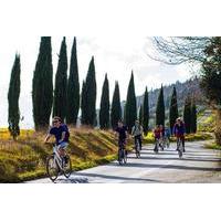 Full Day Tuscan Countryside Bike Tour