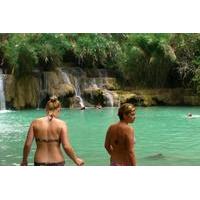 full day tour including jungle trek to kuang si waterfall