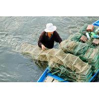 Full day Farming and Fishing tour from Hoi An City