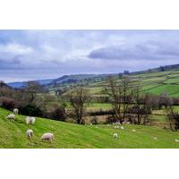 full day yorkshire dales tour from york