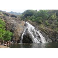 Full-Day Private Tour: Dudhsagar Water Falls and Spice Plantations from Goa