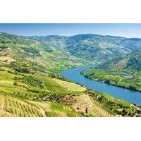 Full-Day Tour in Douro with Lunch