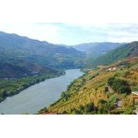 full day tour of the astonishing douro wine region with lunch and wine ...