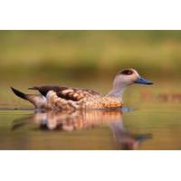 Full-Day Tour to Laguna de los Pozuelos from Tilcara