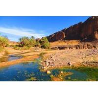 full day ouarzazate and oasis fint private tour