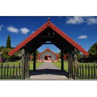 Full-Day Rotorua Shore Excursion Including Te Puia and Hells Gate Thermal Beds