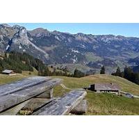 Full Day Tour - True Colors of Switzerland
