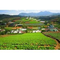 Full-Day Dalat Countryside Tour